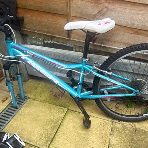 Raleigh angel bmx - raleigh,