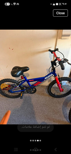 Iguana piranha kids - iguana, bike