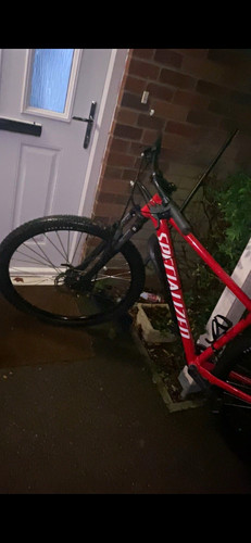 Specialized rockhopper 29in - specialized,