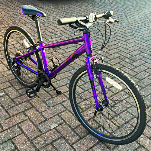 Giant arx purple - 24,