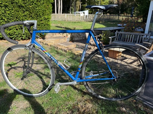 Vintage 1979 gazelle champion - vintage,