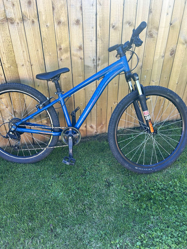 Rockrider 26in blue - rockrider,