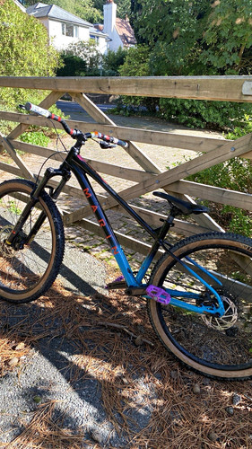 Marin bobcat trail small - bobcat,